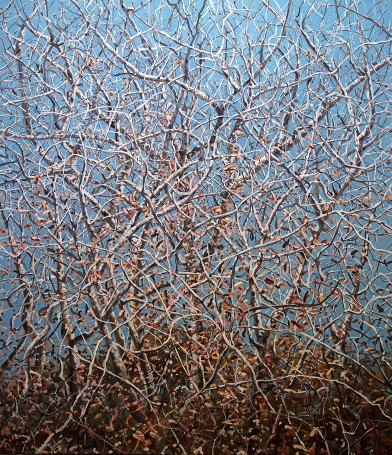 Eric Zener, PATIENCE, 2020