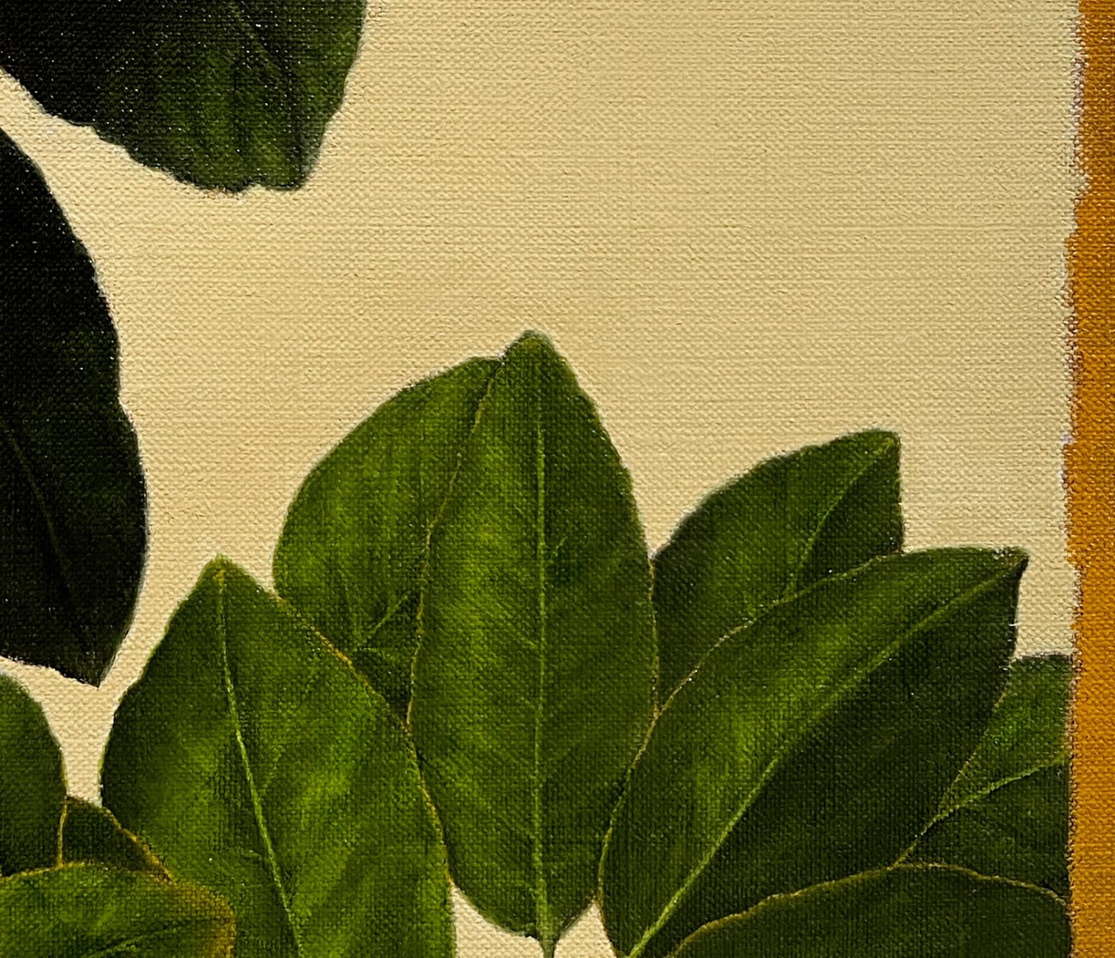 Detail of Lemons growing from dark green leaves