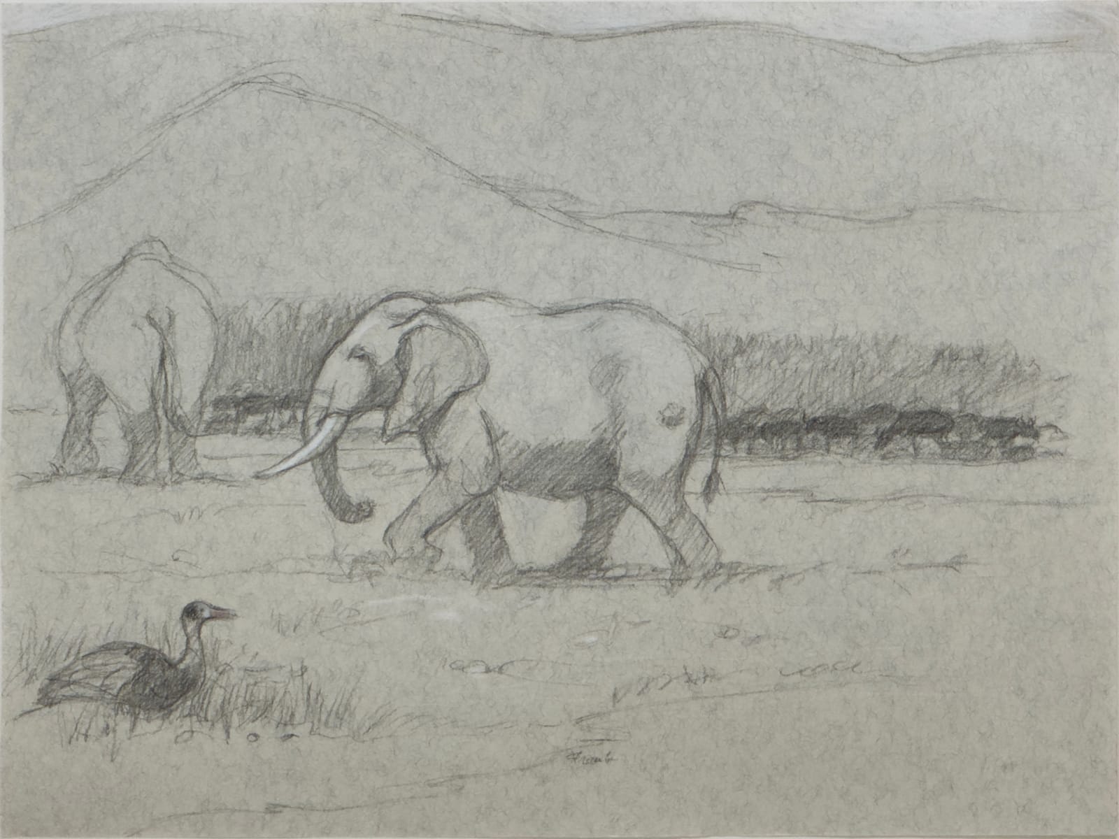 Scene of two elephants and a bird