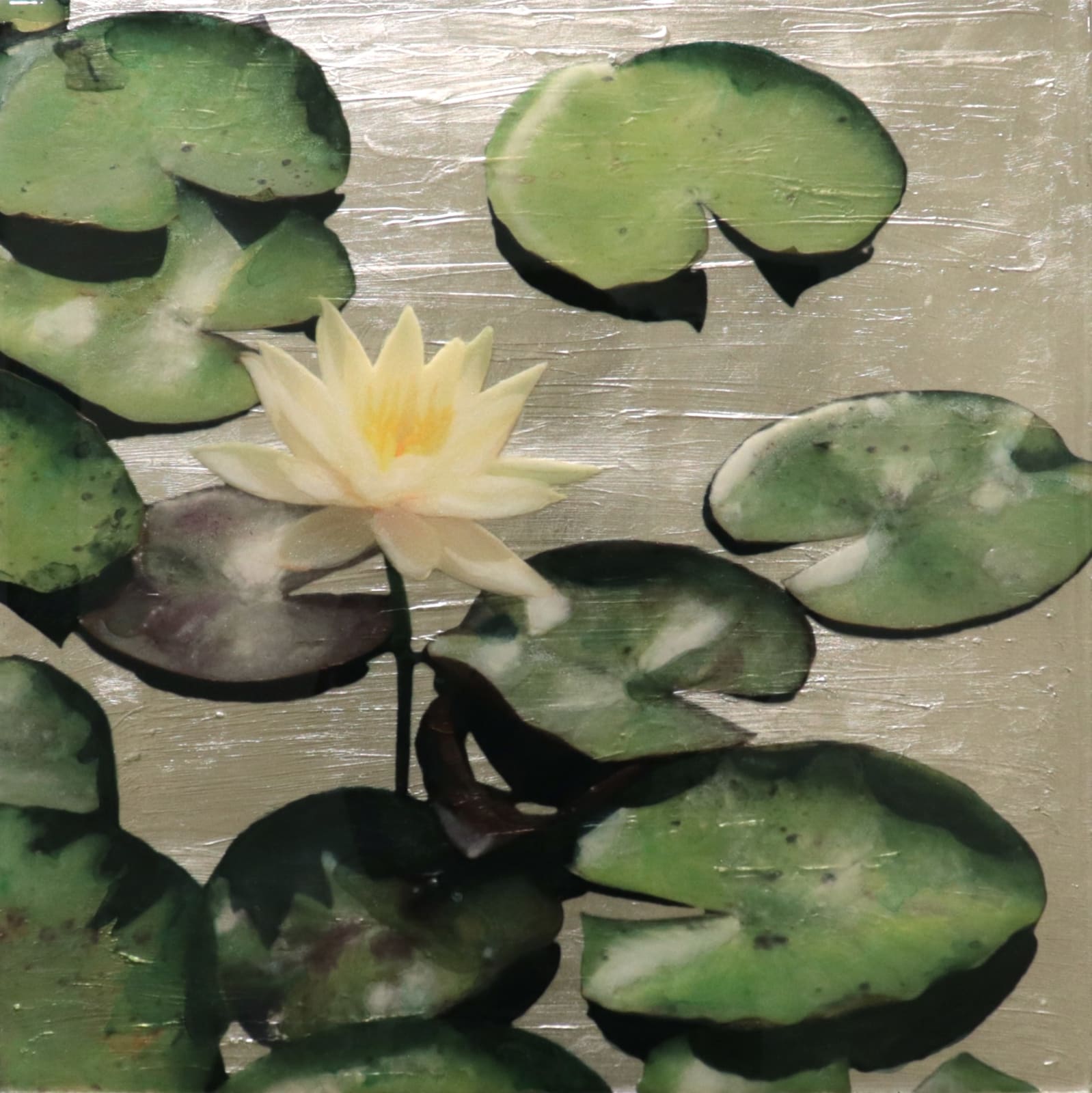 Susan Goldsmith, CALME, 2022