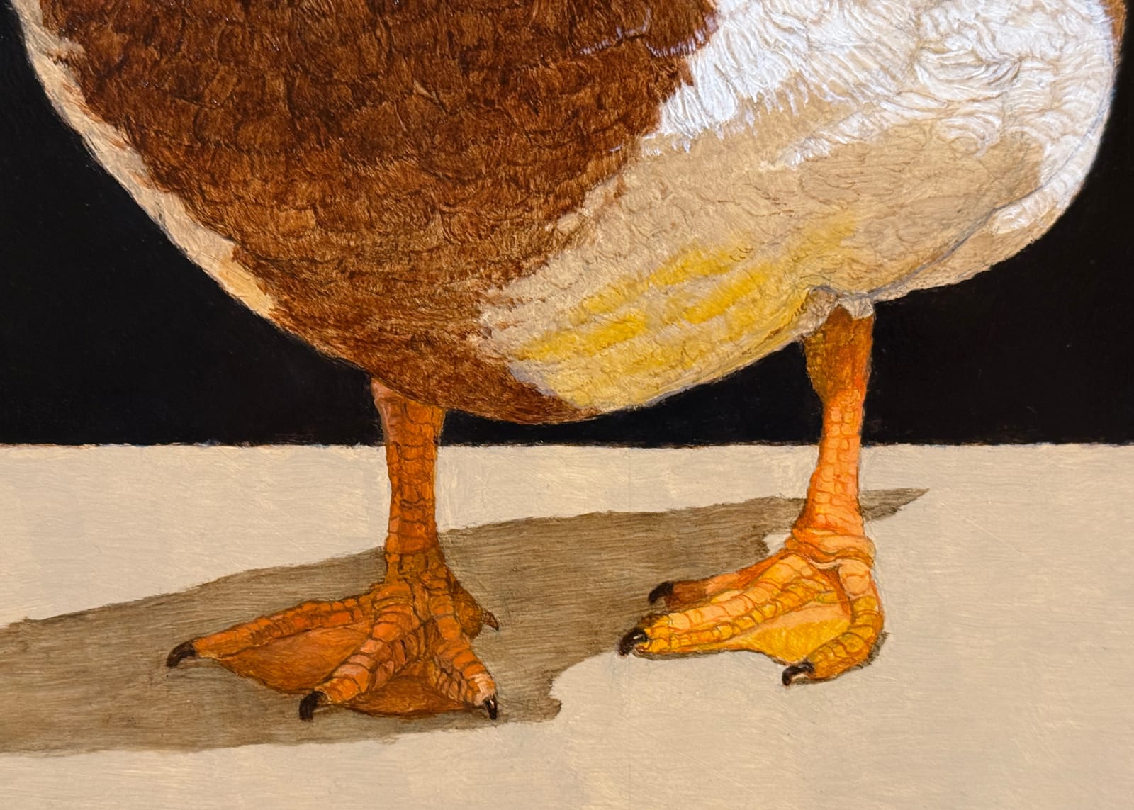 Painting of a mallard duck