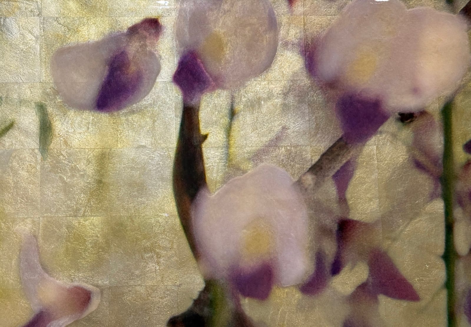 Diptych artwork of orchids