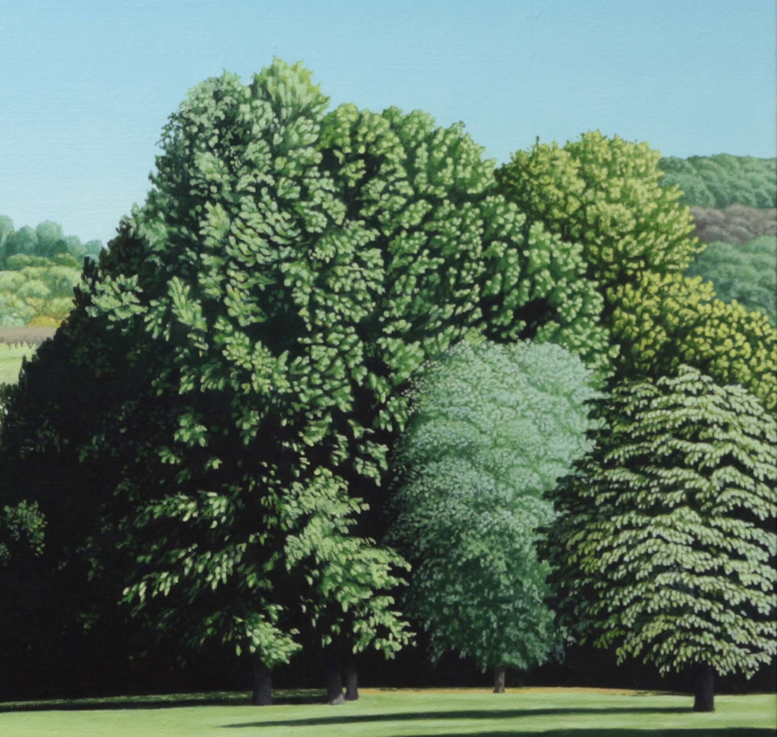 Oil painting of trees with shadows in the morning