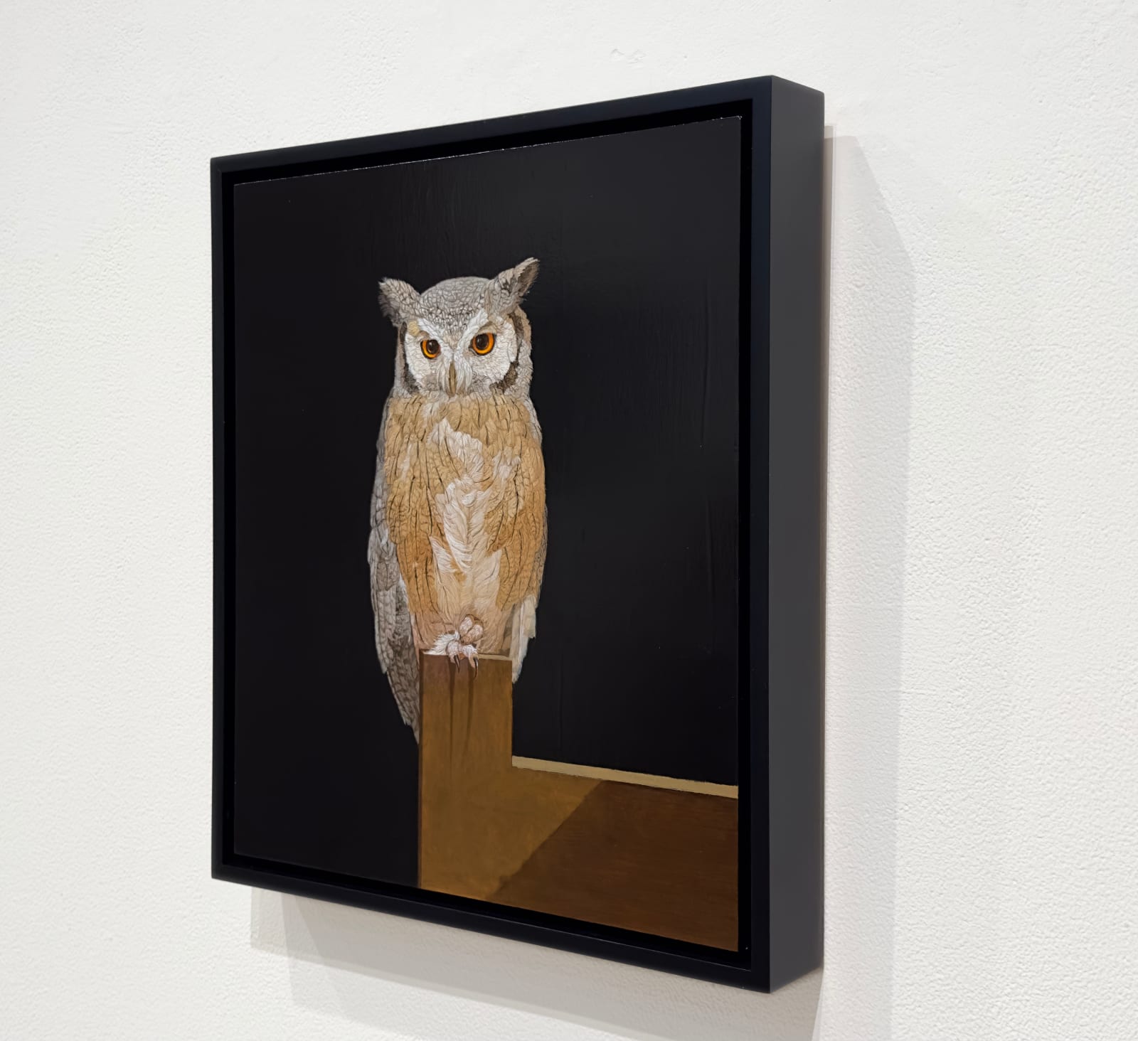 Painting of a white faced owl with curled toes on a perch