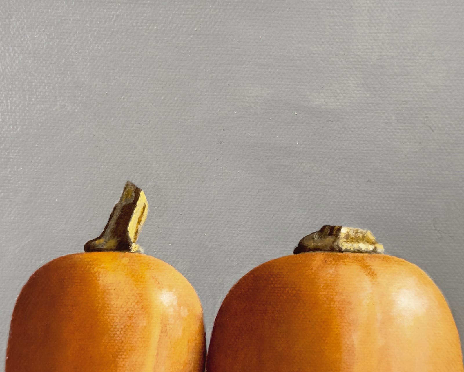 Still life of two squashes