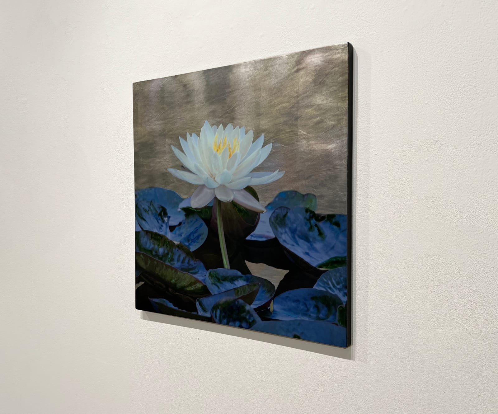 flower and water lilies