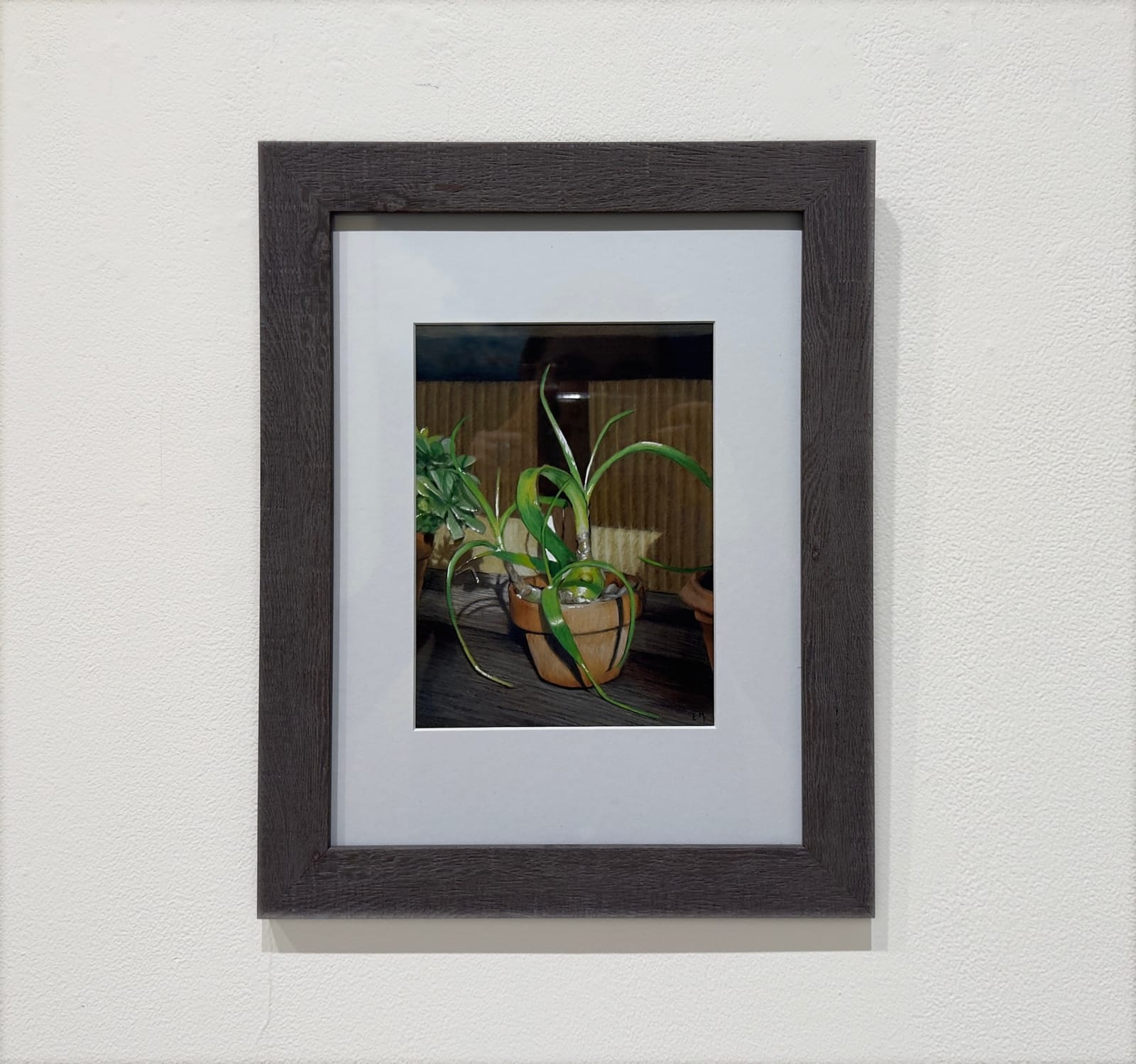 Colored pencil drawing of a plant