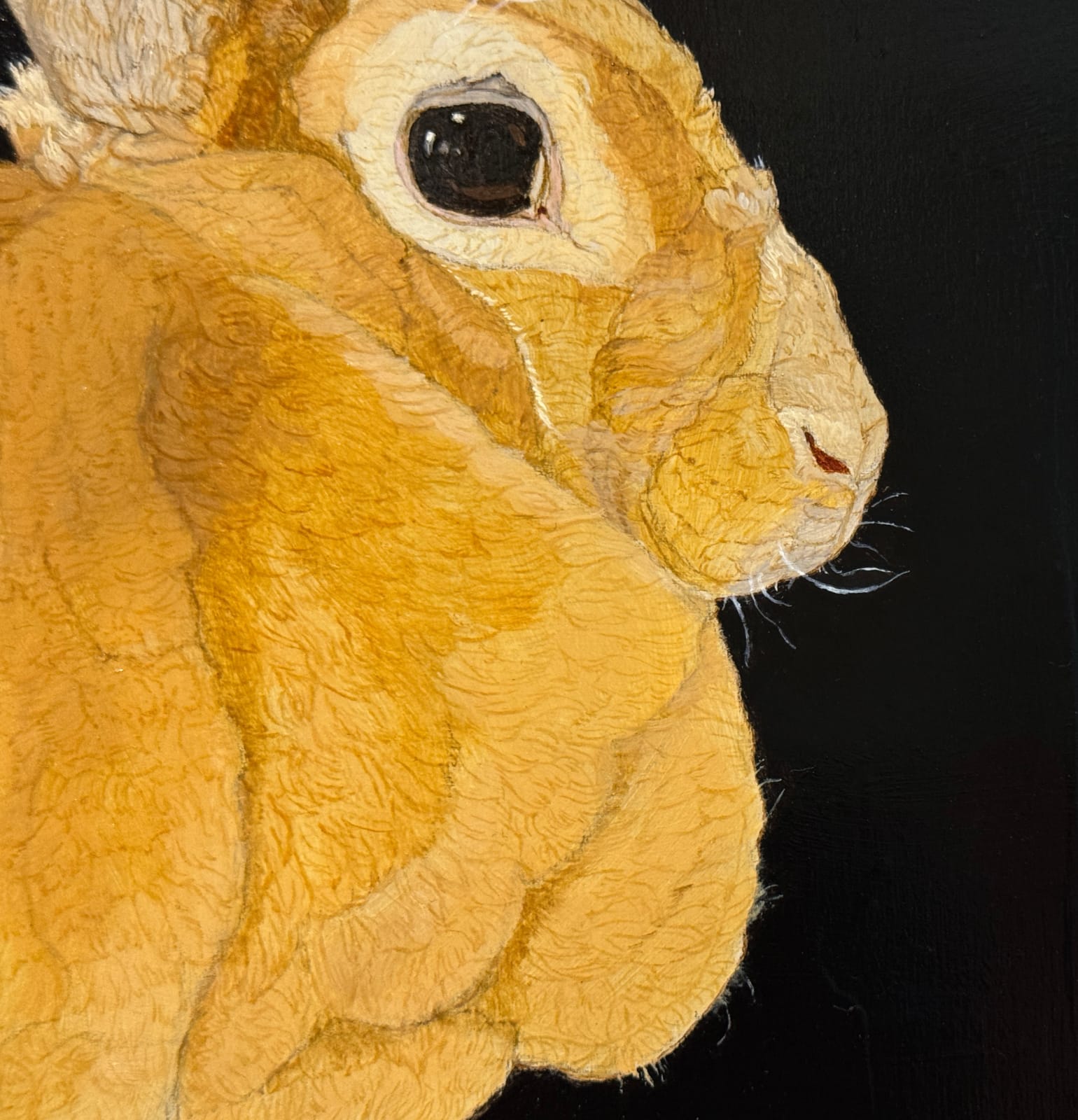 Painting of a rex rabbit