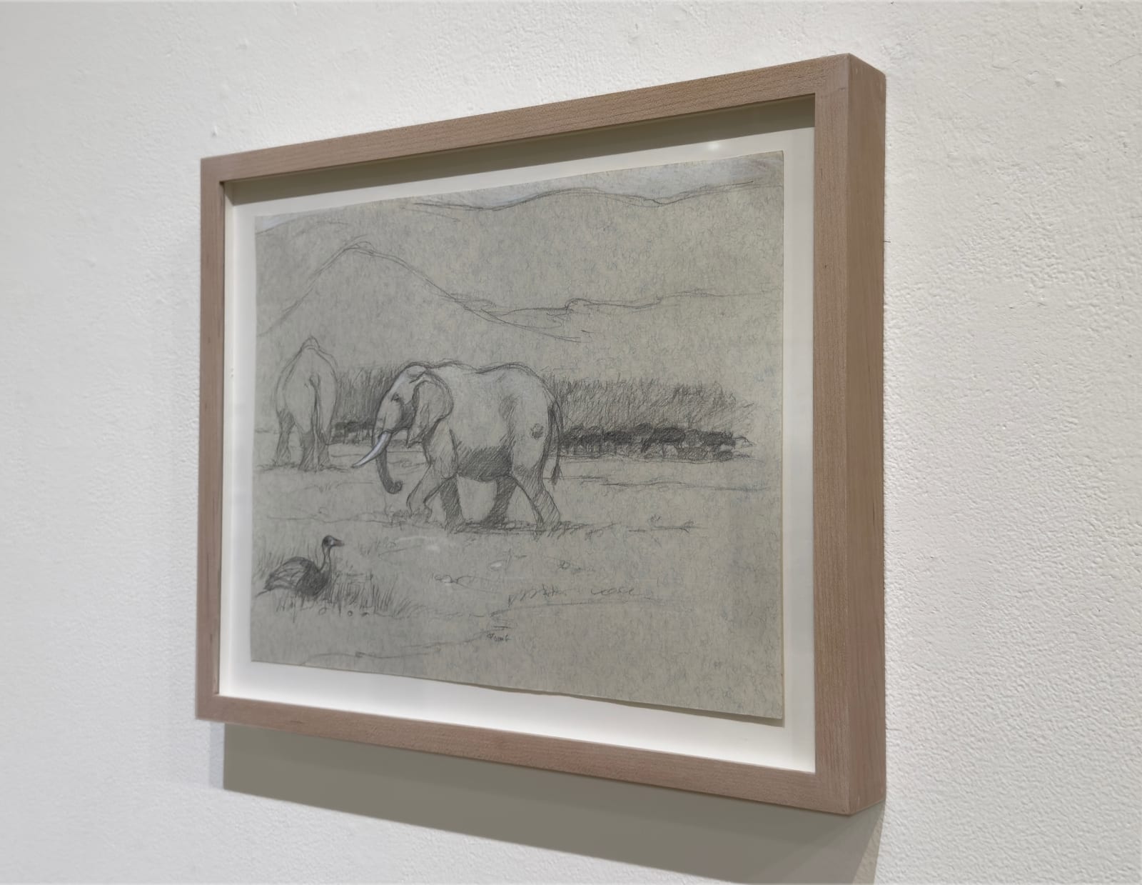 Scene of two elephants and a bird