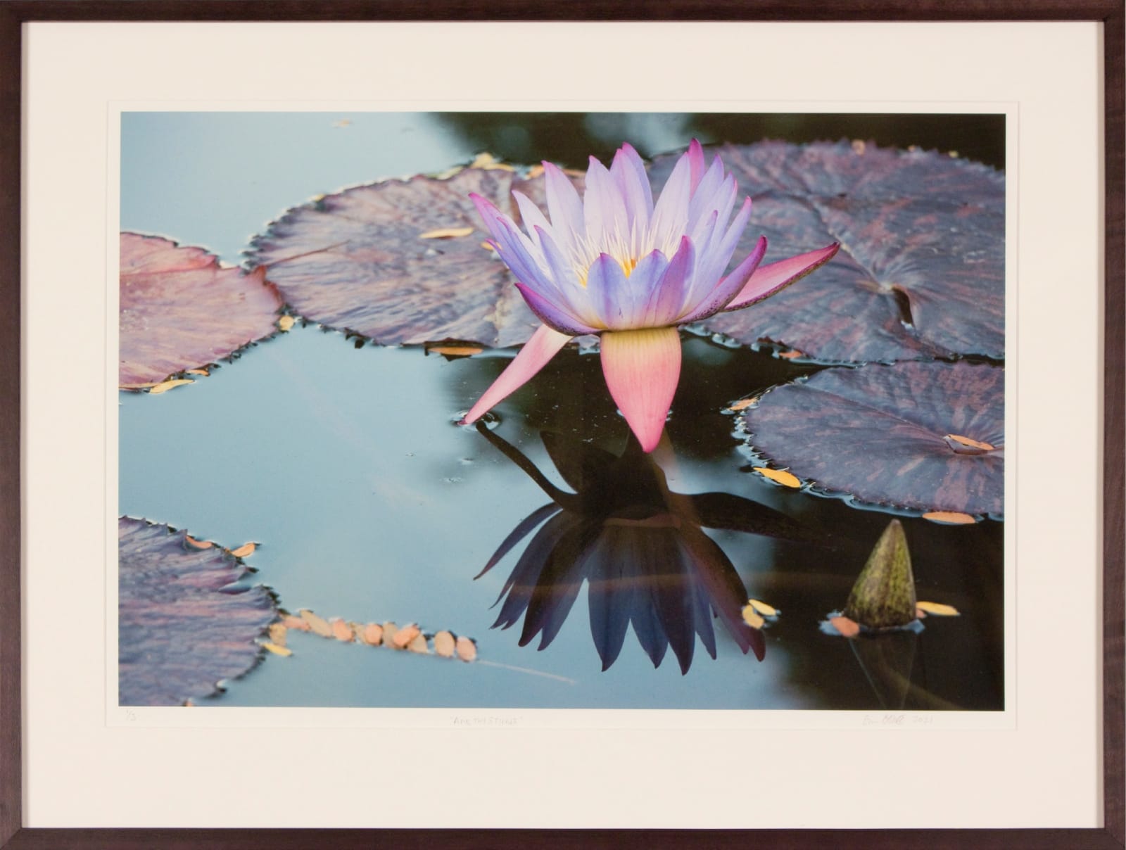 Digital Imagery on Entrada Paper