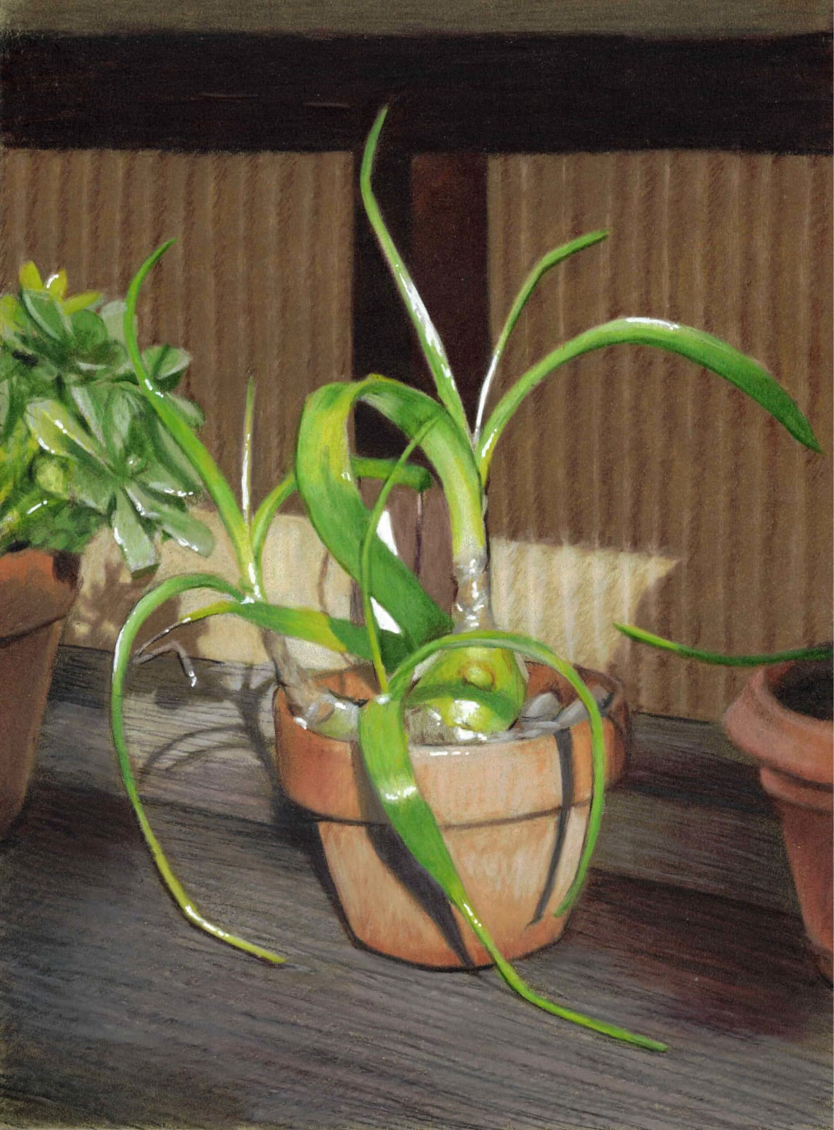 Colored pencil drawing of a plant