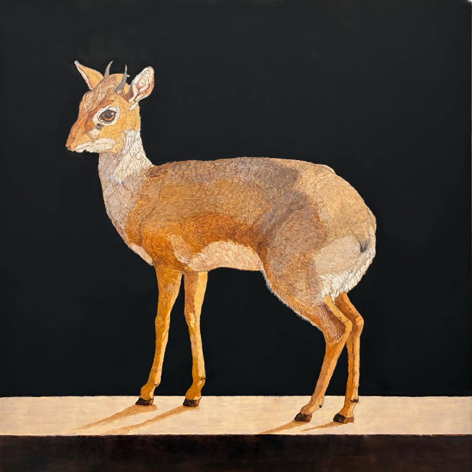 Painting of a small African antelope