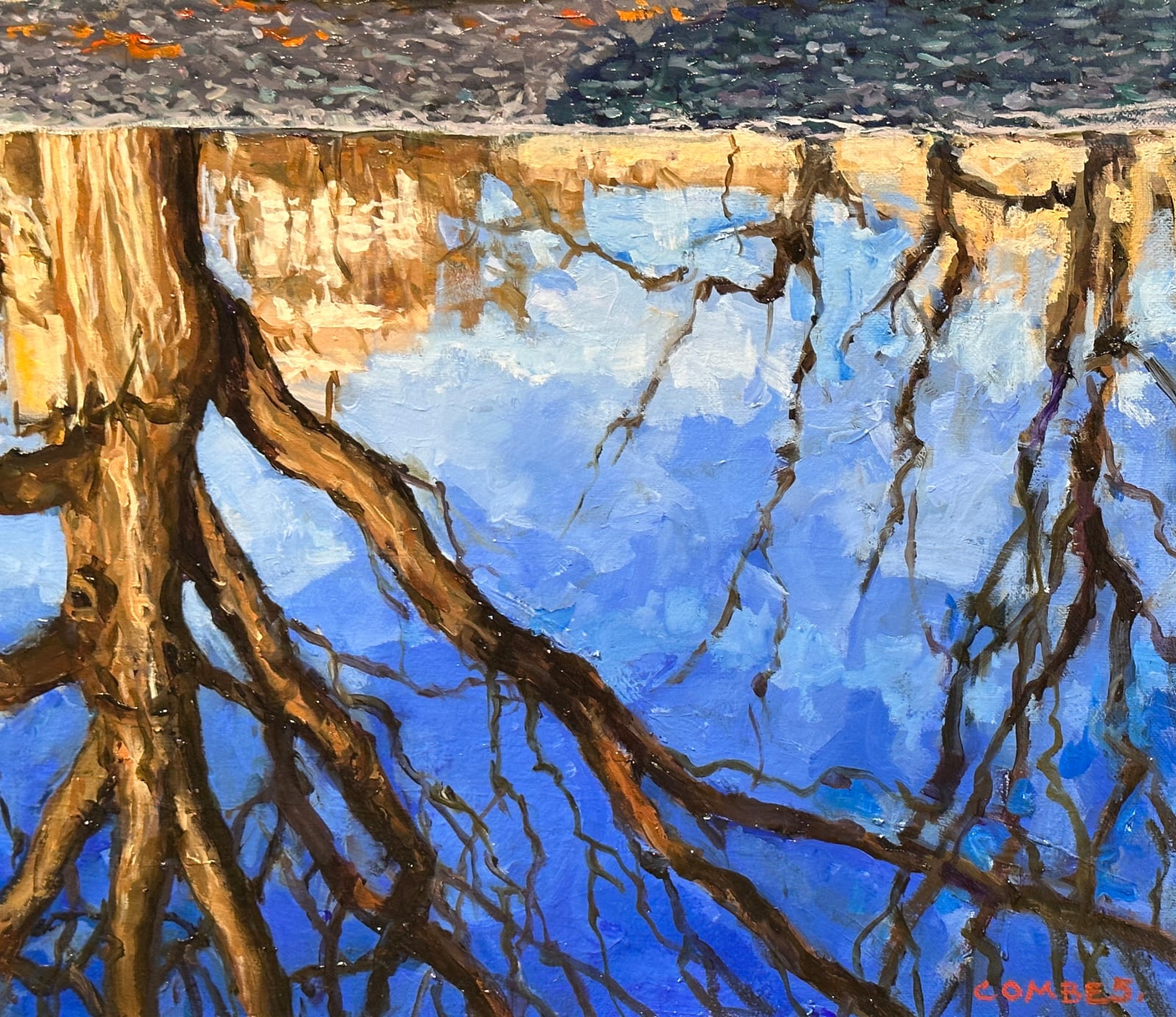 Landscape of a tree in a park reflecting in water