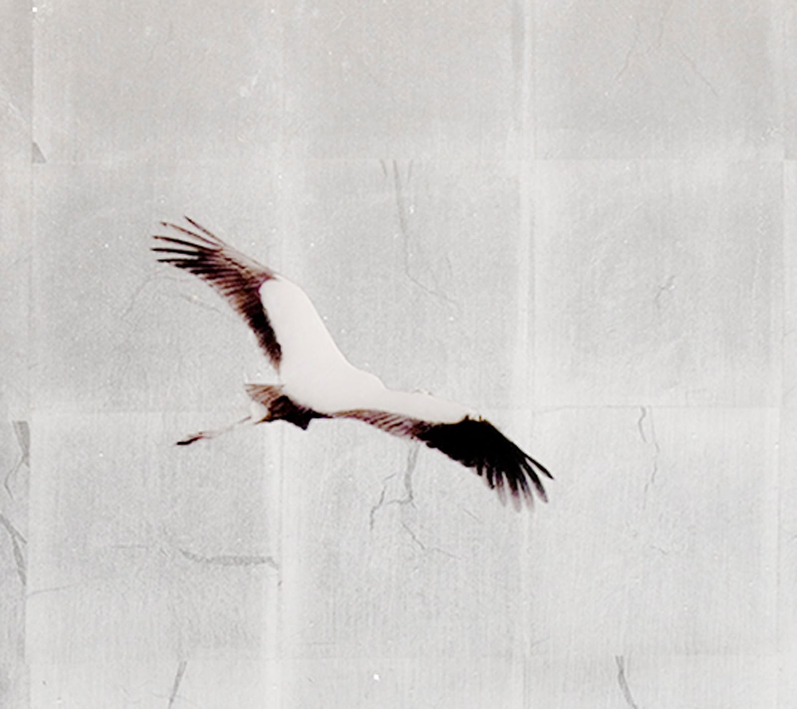 Five panel mixed media work of Aged Silver Leaf with Pigment Print, Metallic Watercolors, Shell Gold, Acrylic Paint, and Resin on Panel