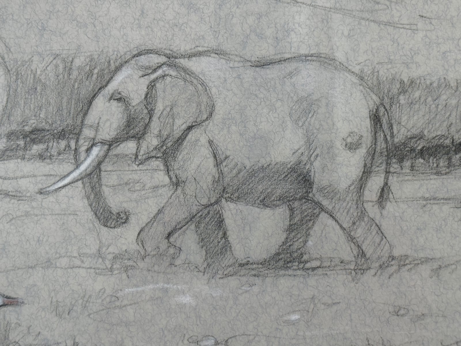 Scene of two elephants and a bird