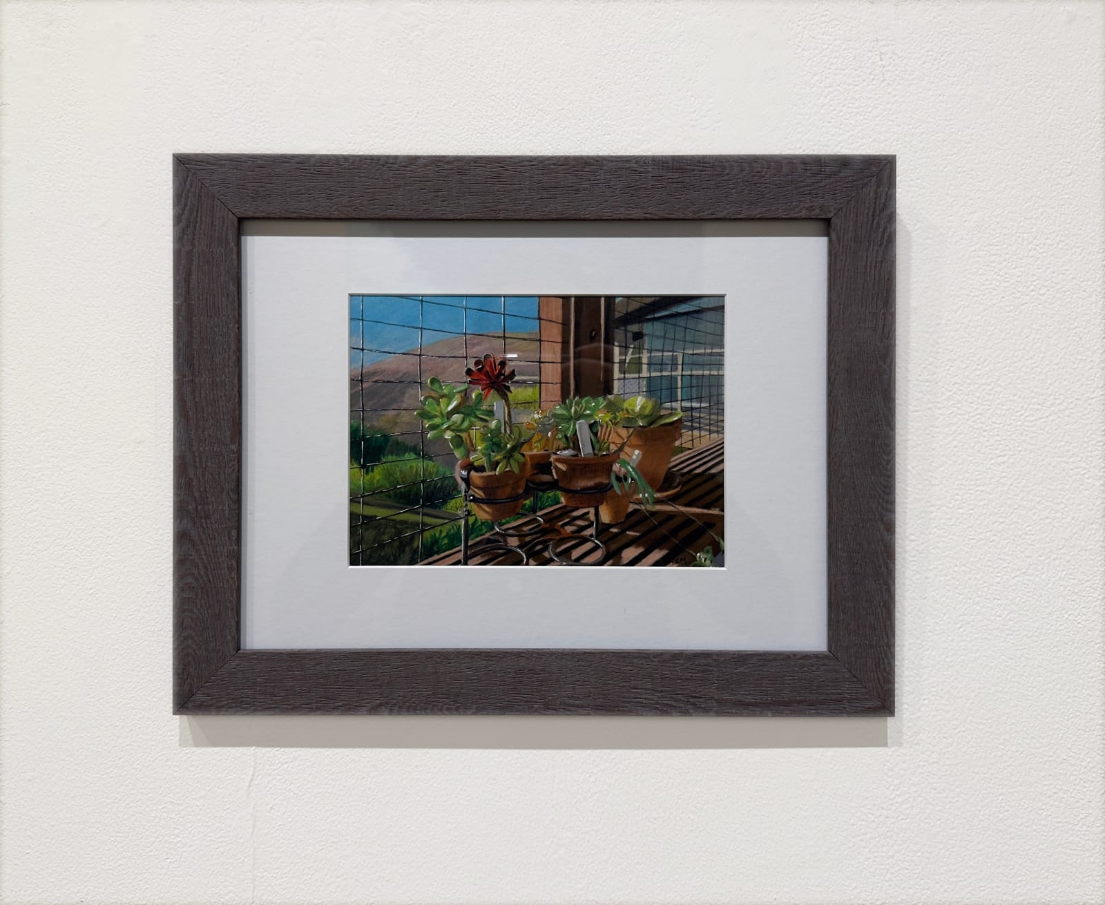 Cacti in pots on window ledge