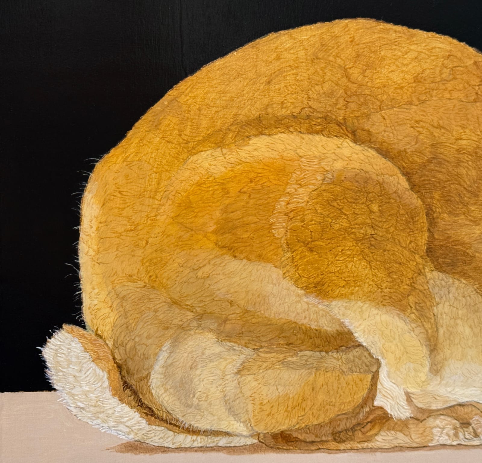 Painting of a rex rabbit