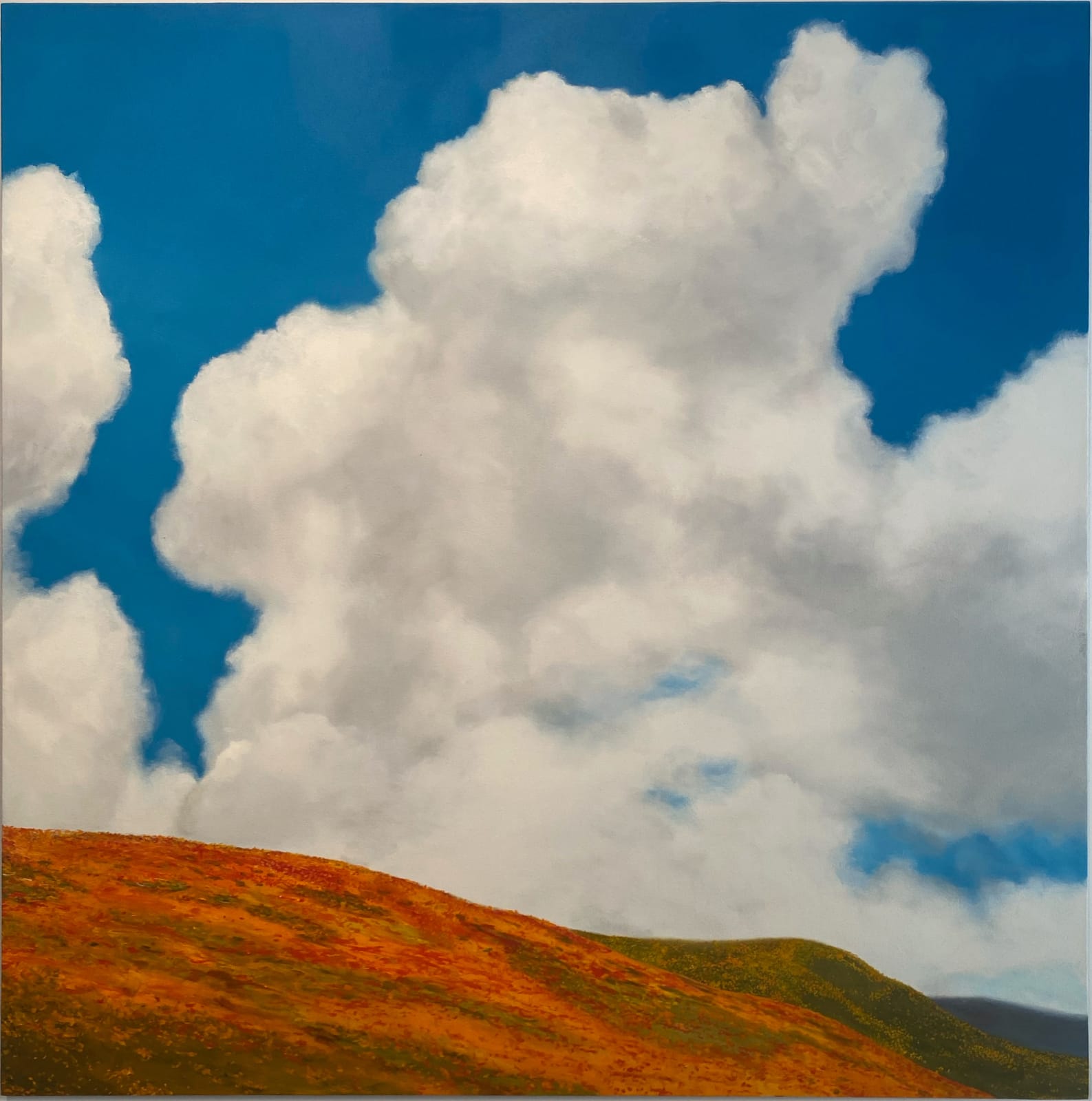 painting of poppy field landscape with large view of clouds in sky