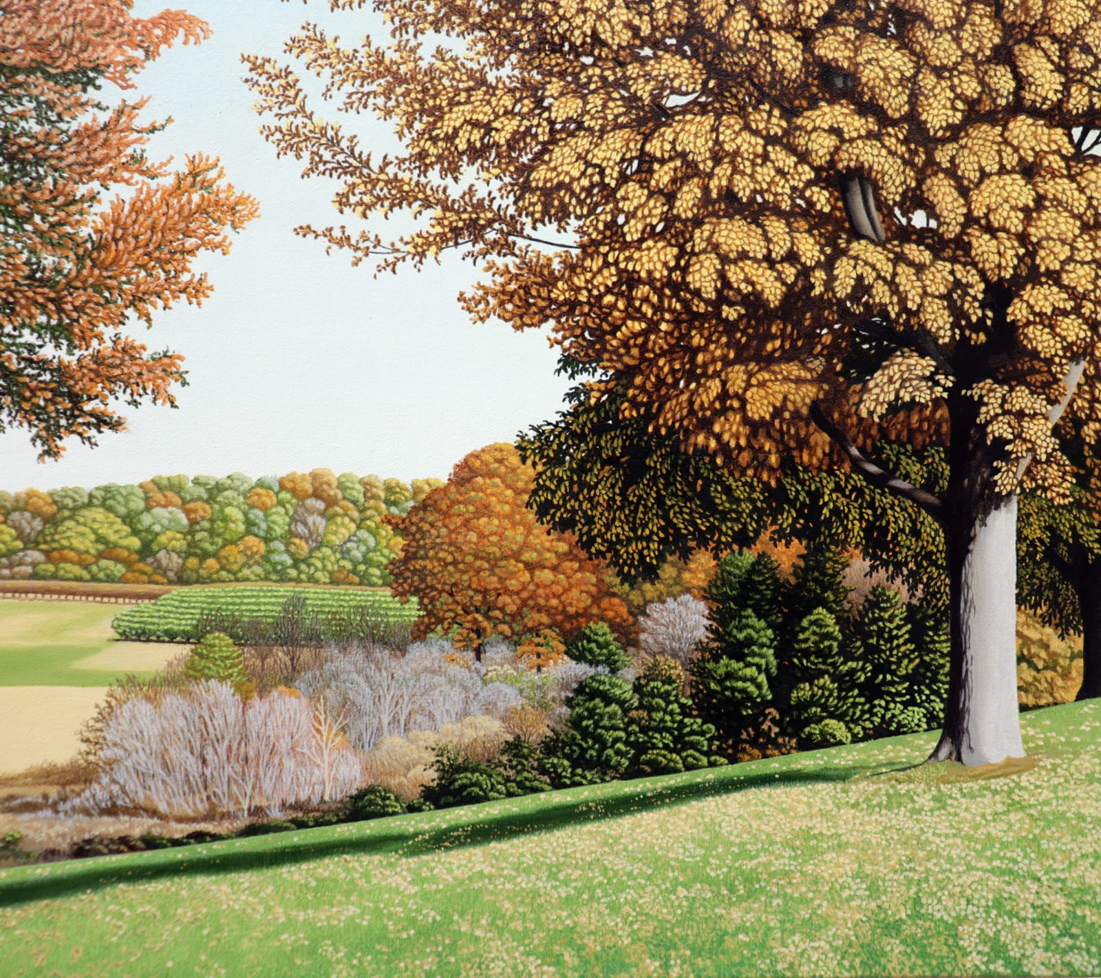 Oil painting of trees before fields in fall on canvas
