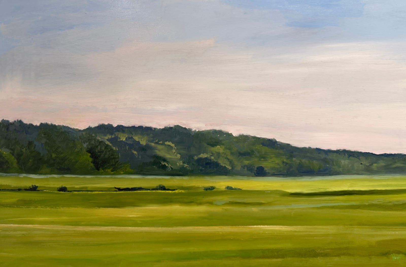 Painting of a marsh in the summer