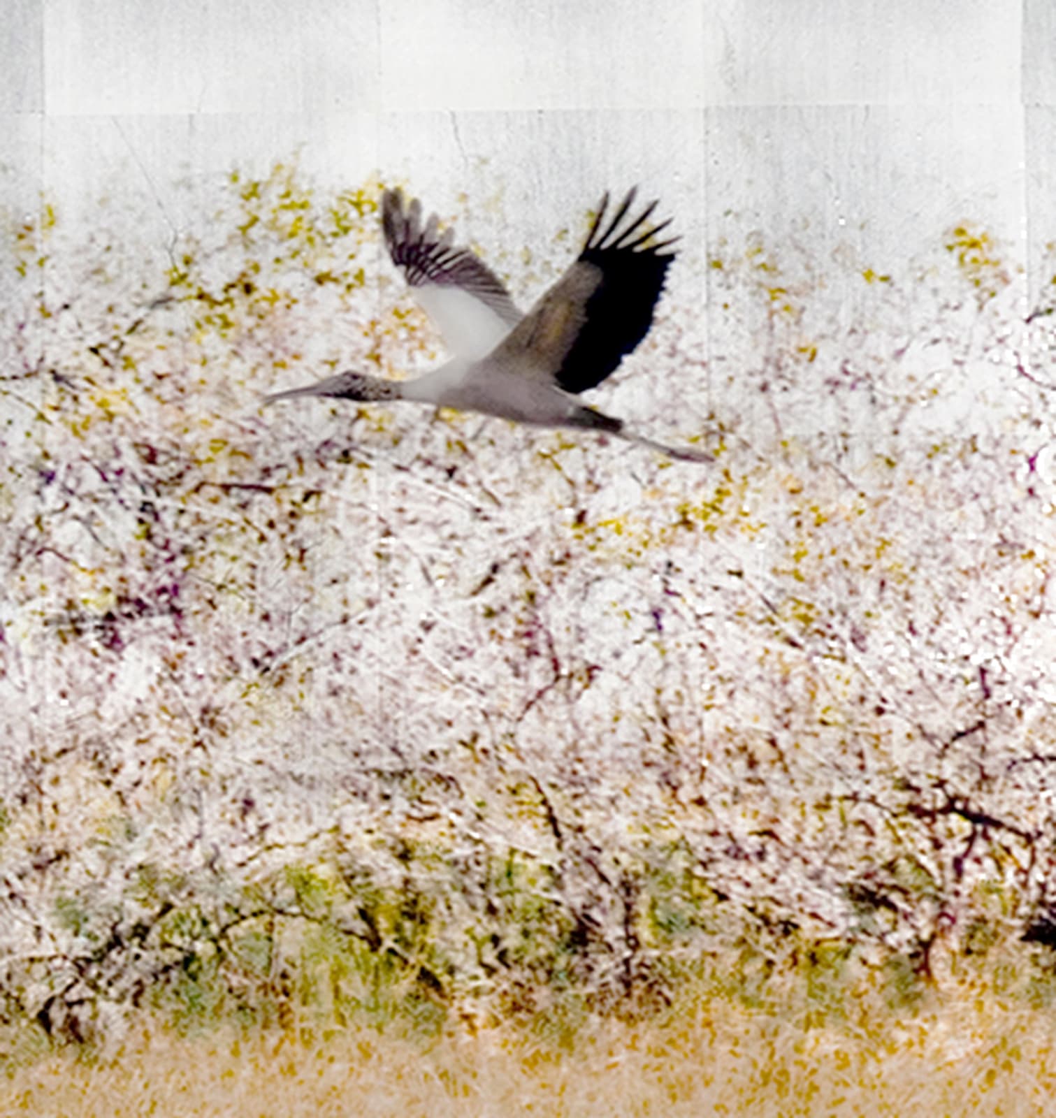 Five panel mixed media work of Aged Silver Leaf with Pigment Print, Metallic Watercolors, Shell Gold, Acrylic Paint, and Resin on Panel