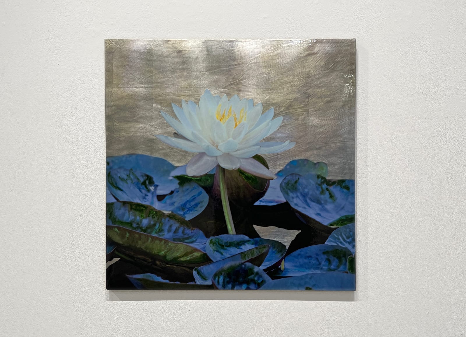 flower and water lilies