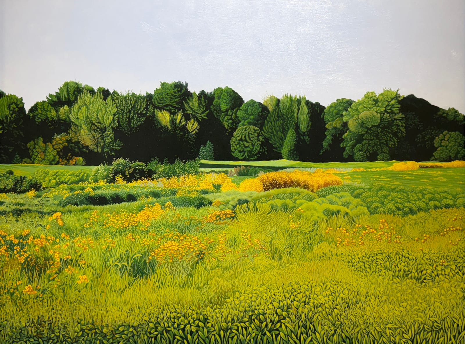 Painting of a sunflower field
