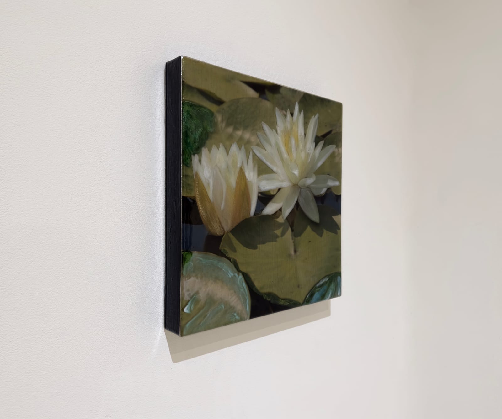 Image of two flowers and lily pads