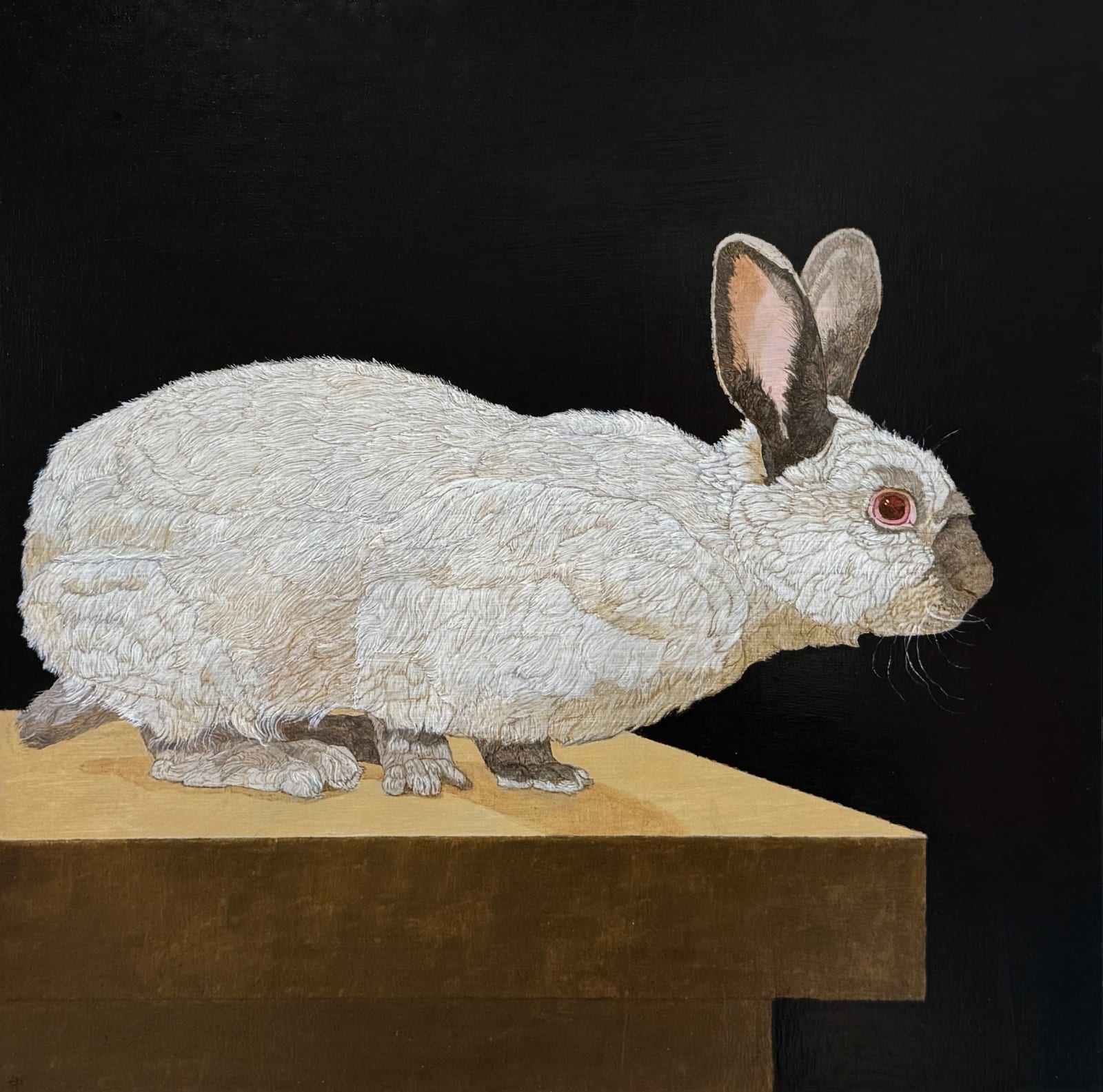 Painting of a rabbit