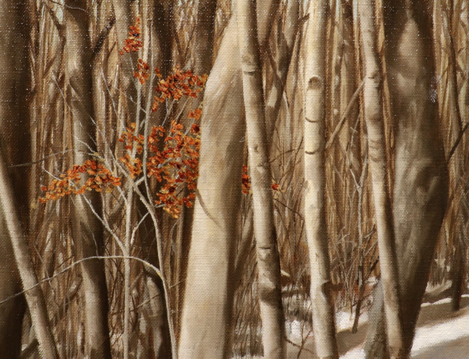 Detail of View through a forest in winter