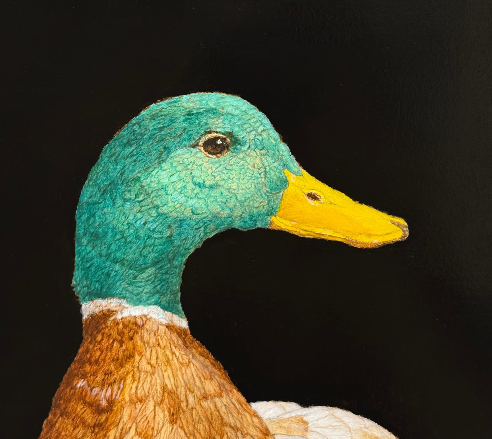 Painting of a mallard duck