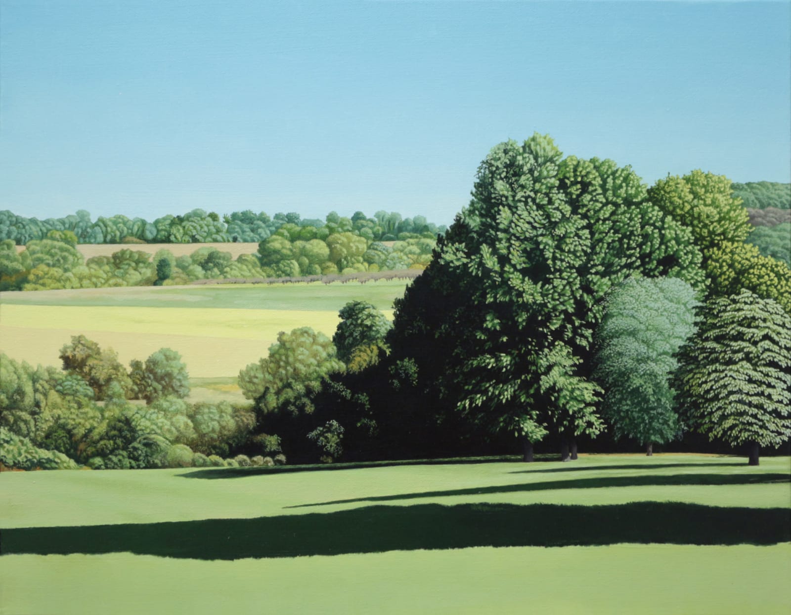 Oil painting of trees with shadows in the morning