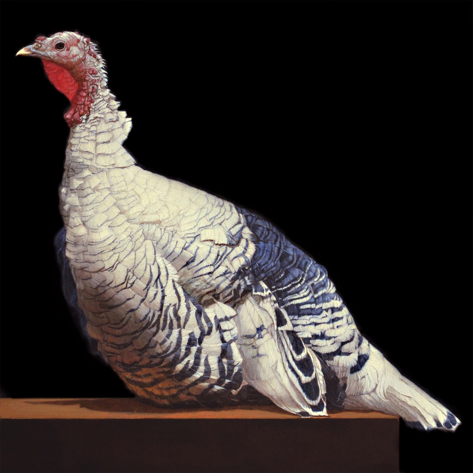 Patricia Traub, A ROYAL PALM TURKEY, 2020