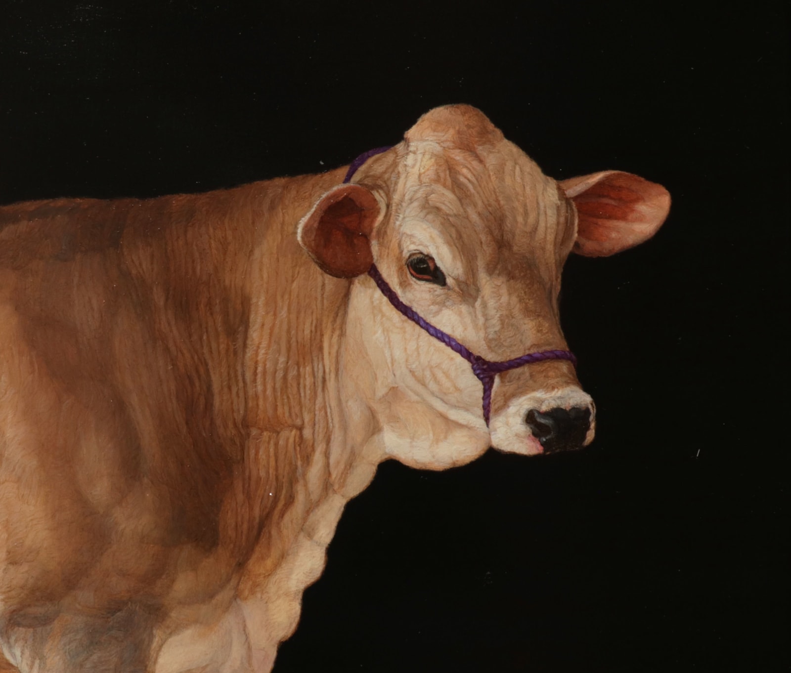 Oil painting of isolated brown cow on panel