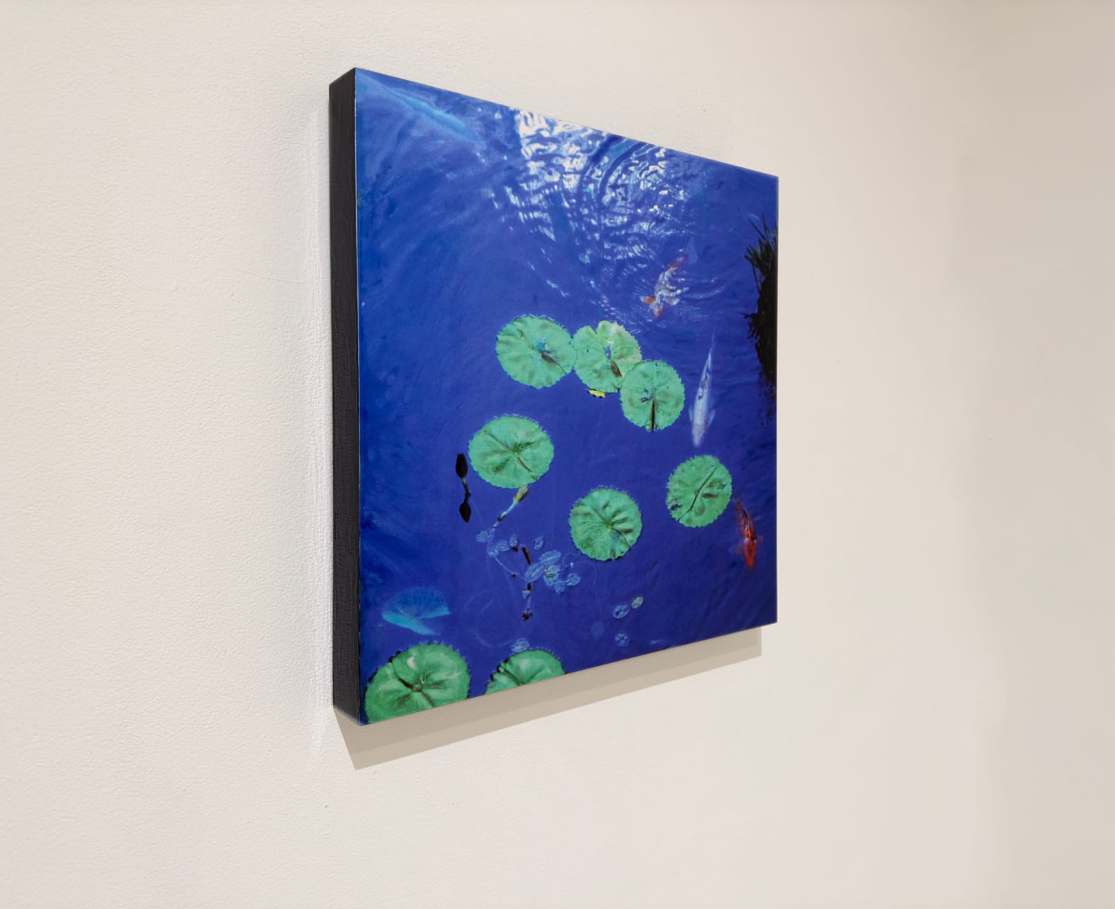 Image of pond with water lilies and koi fish