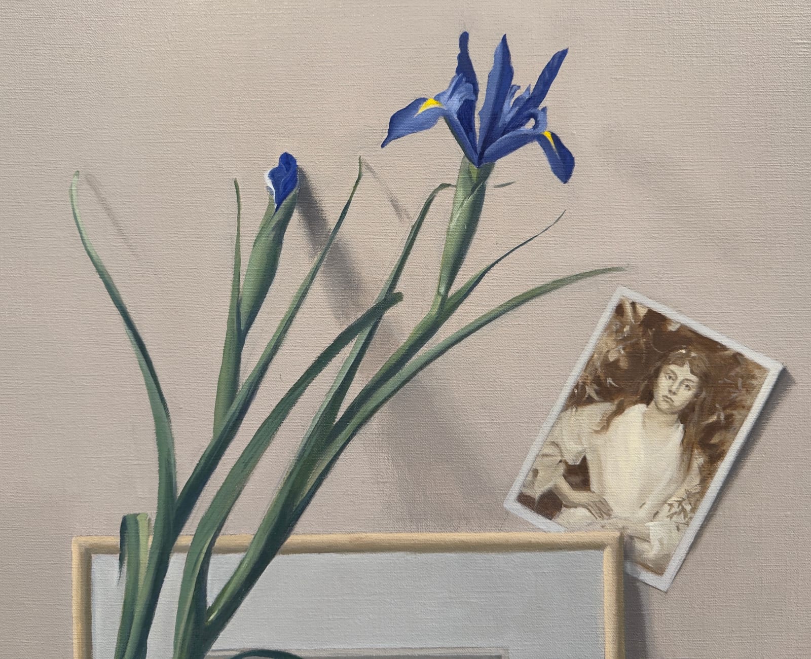 Still life with a table and an ostrich egg, photographs, and plants