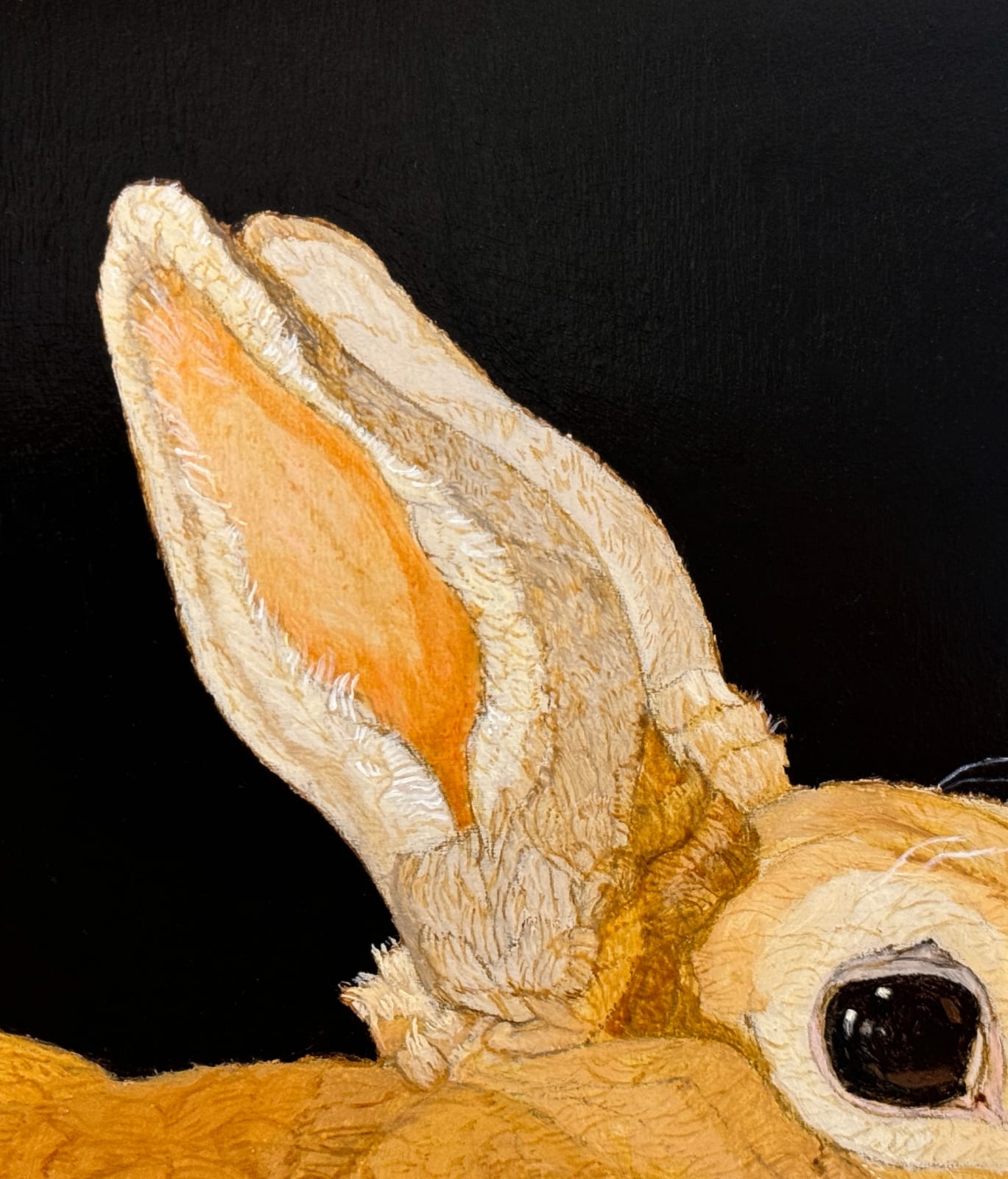 Painting of a rex rabbit