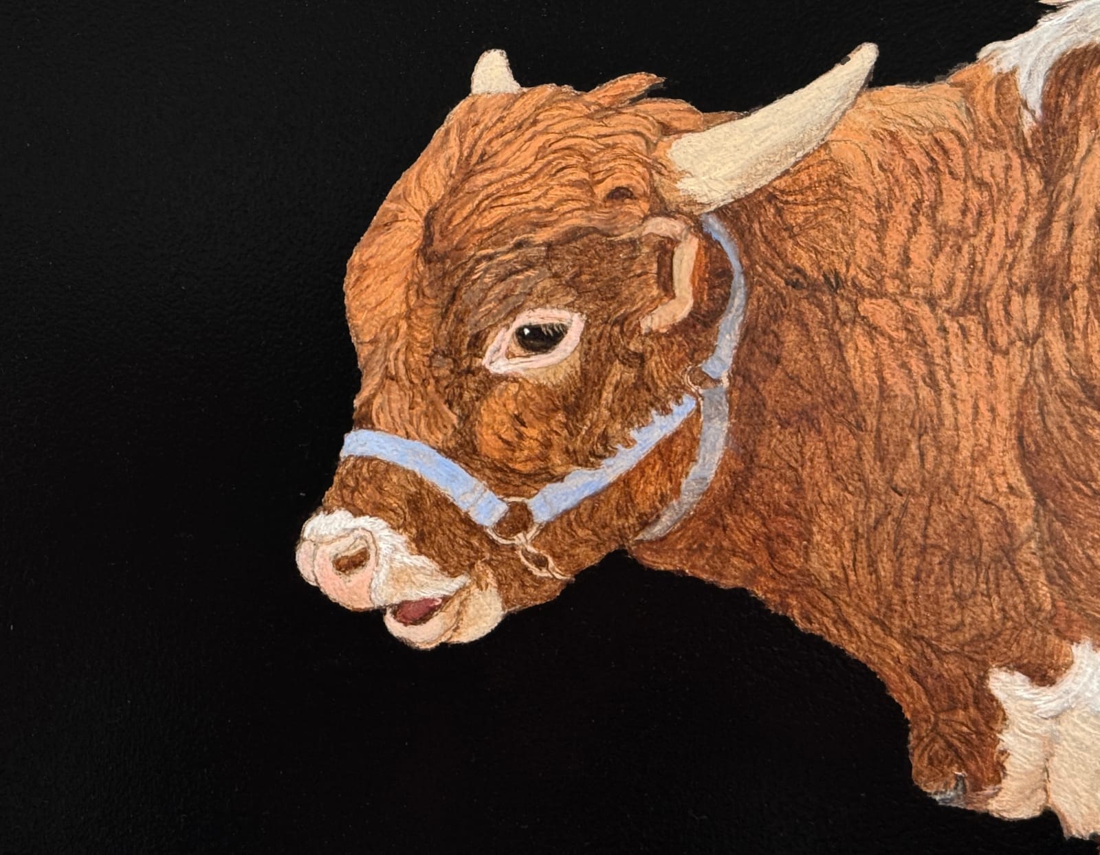 Painting of a Texas longhorn