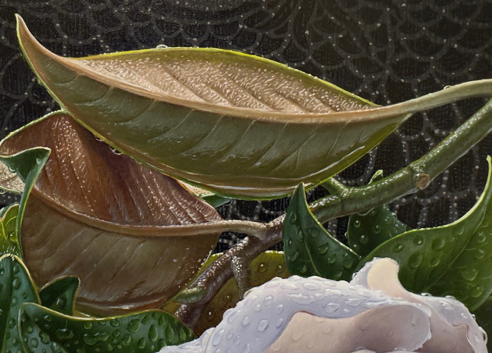 hyper-realistic painting of a single magnolia blossom that has fallen onto a reflective ground. Water droplets and small puddles reflect the flower.