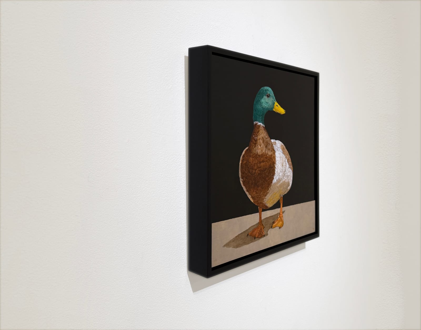 Painting of a mallard duck