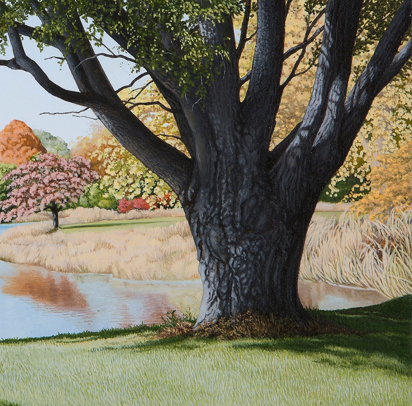 Oil painting of pond in fall on linen