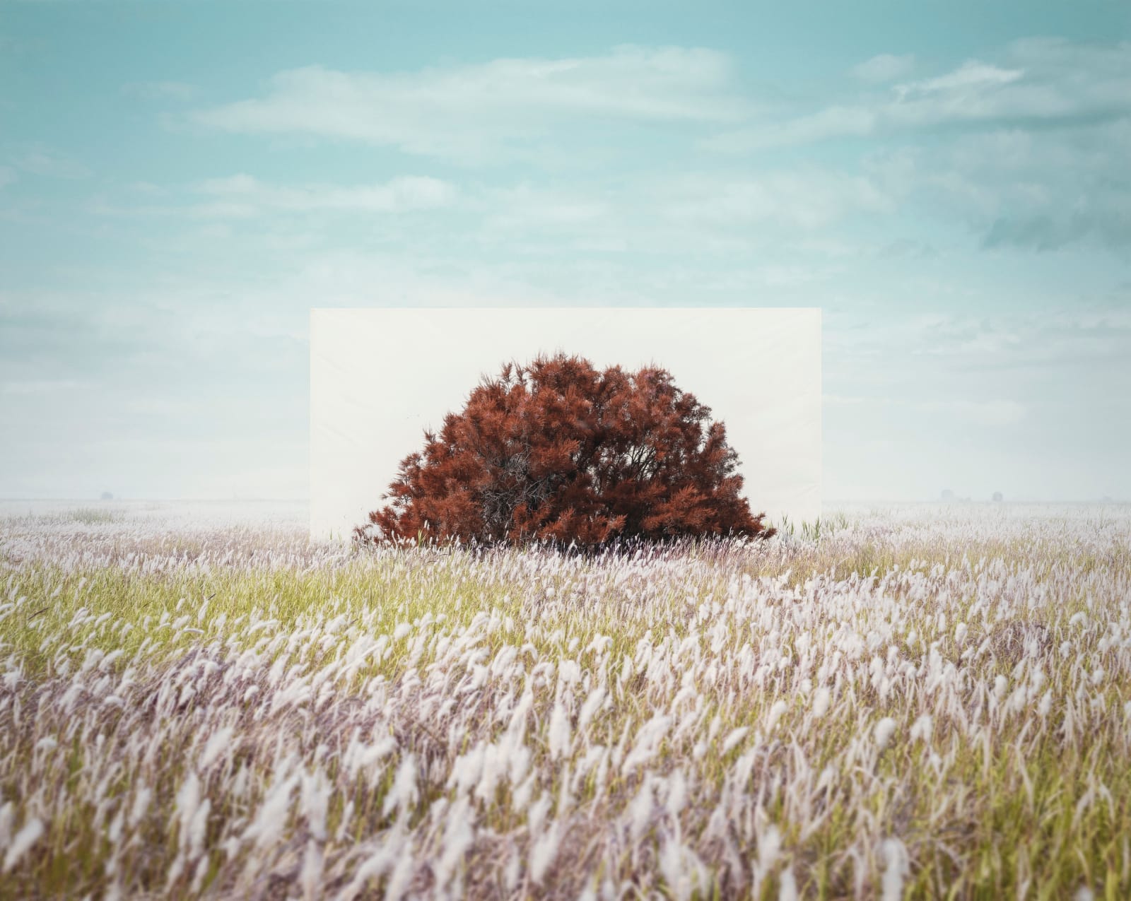 LEE MYOUNGHO, Tree... #15, 2022