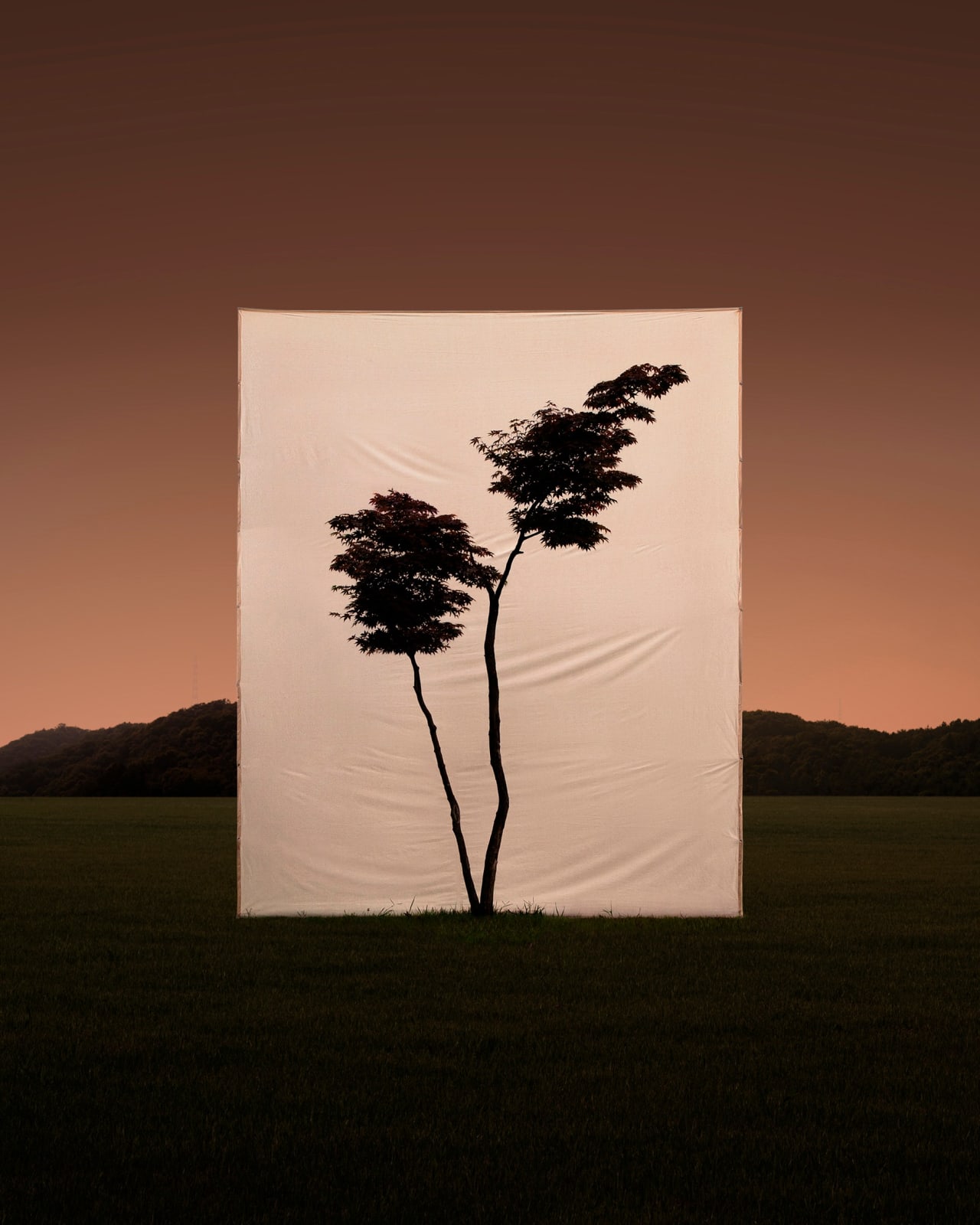 LEE MYOUNGHO, Tree #16_2, 2018