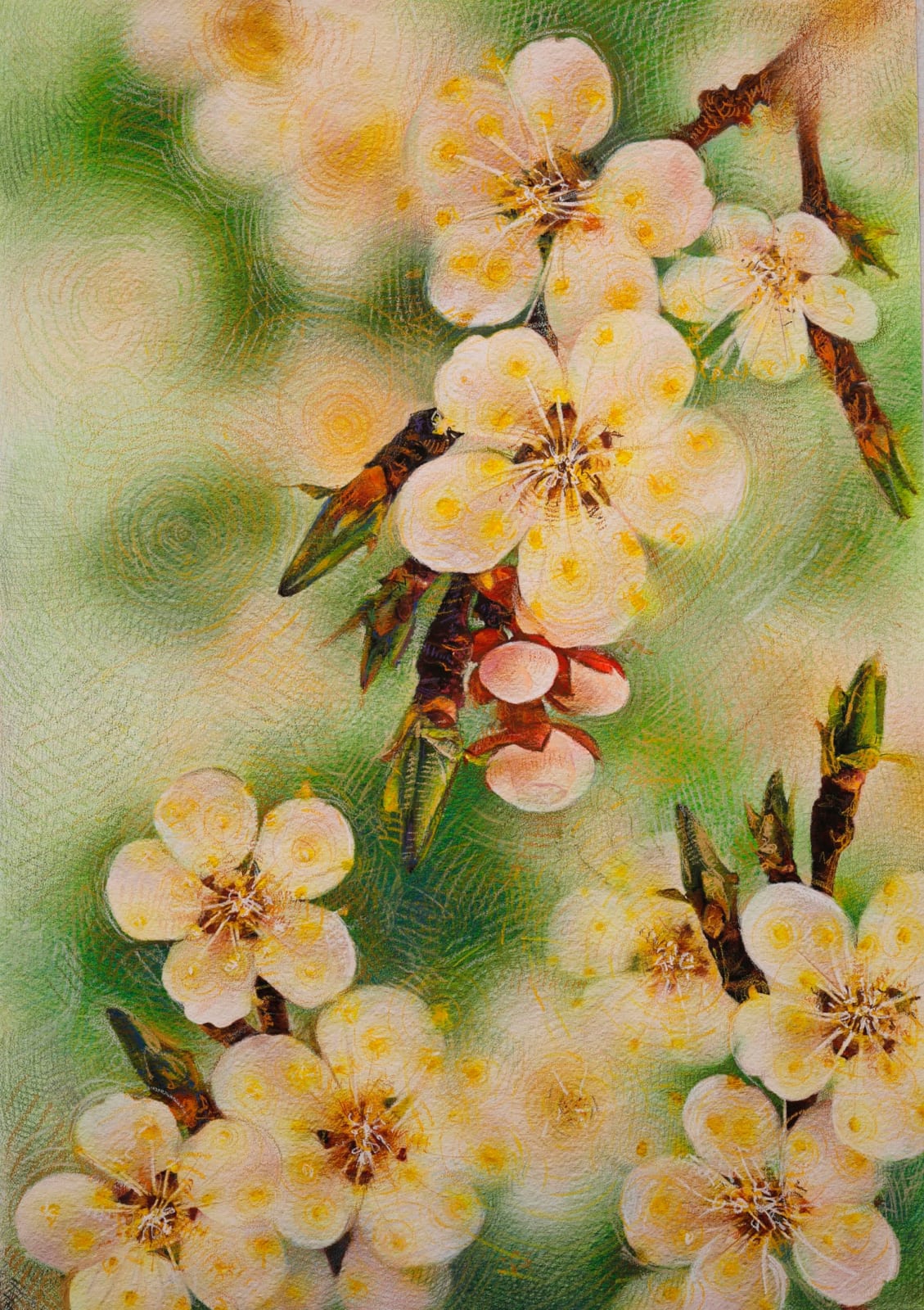 Shwan Dler Qaradaki, Duftende bedrag #5, 2024