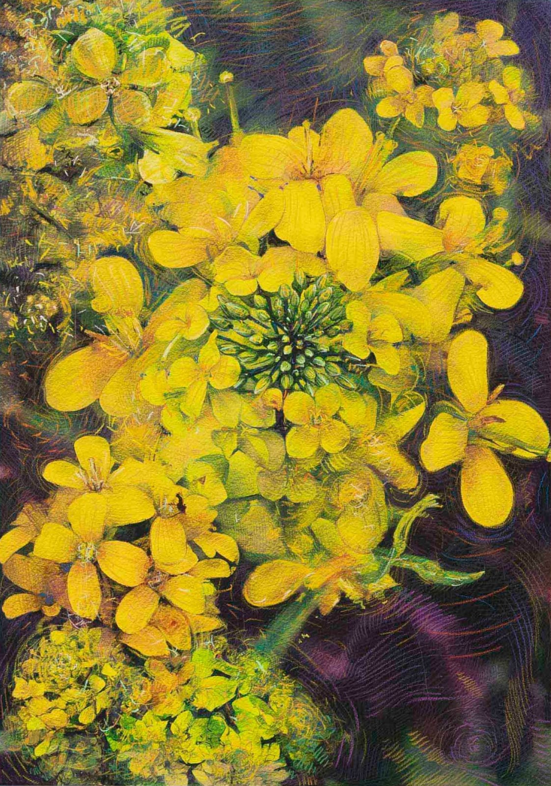 Shwan Dler Qaradaki, Duftende bedrag #8, 2024