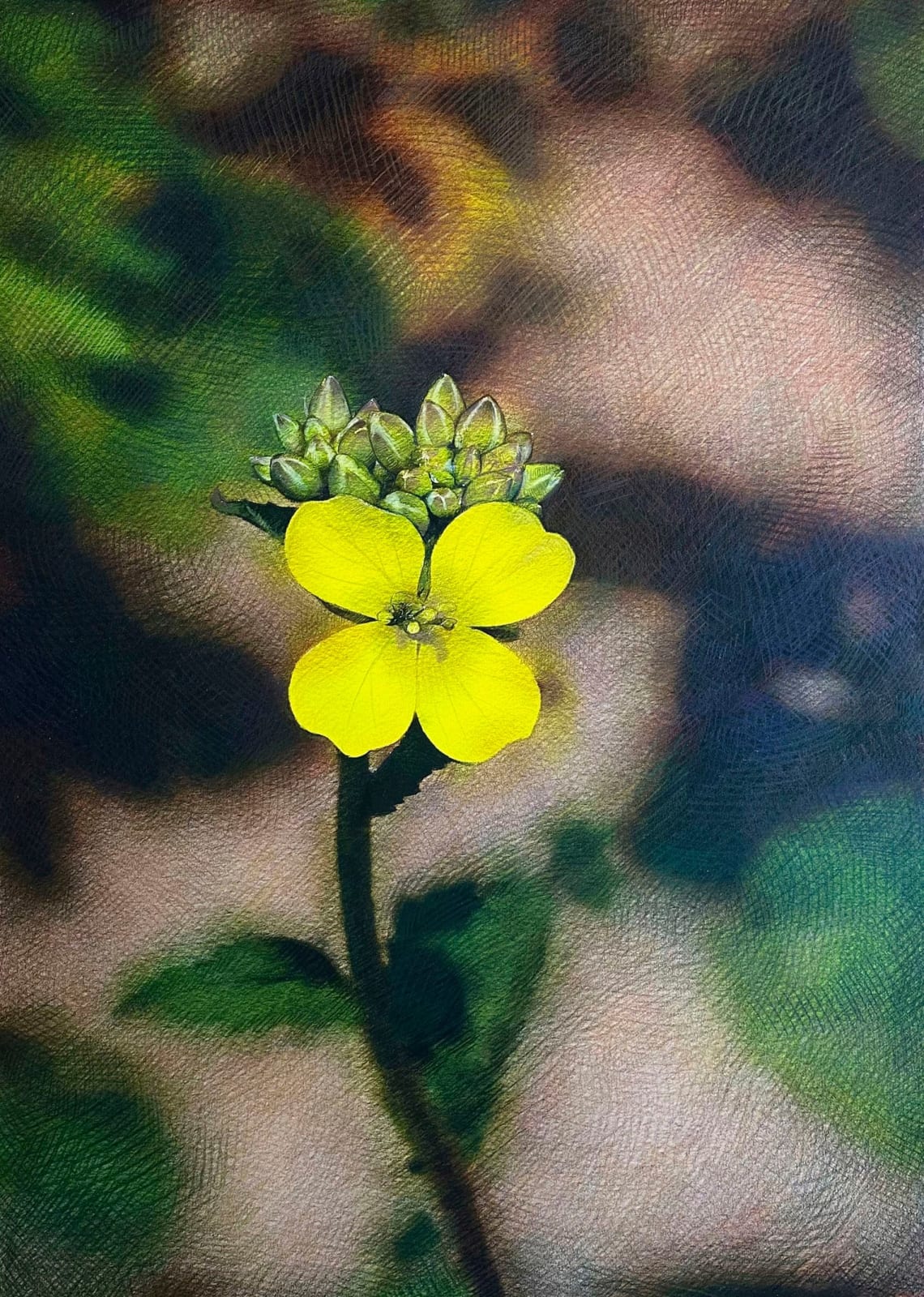 Shwan Dler Qaradaki, Duftende bedrag #4, 2024