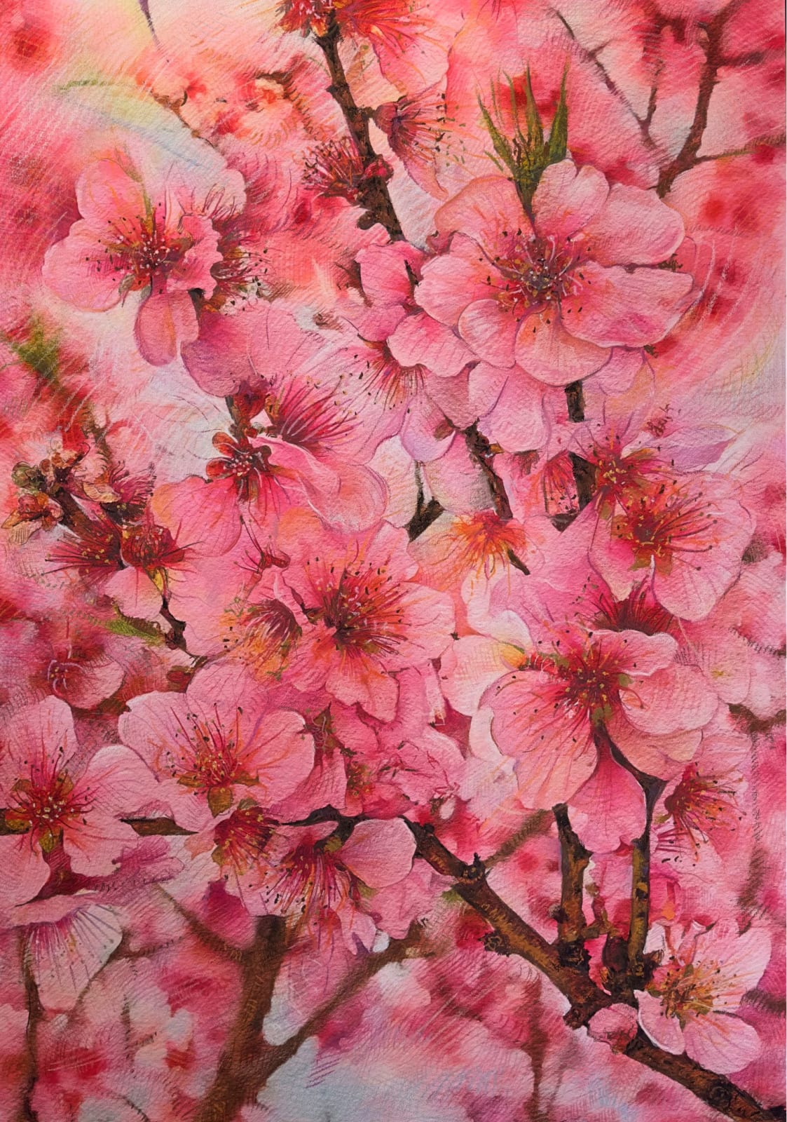 Shwan Dler Qaradaki, Duftende bedrag #12, 2024