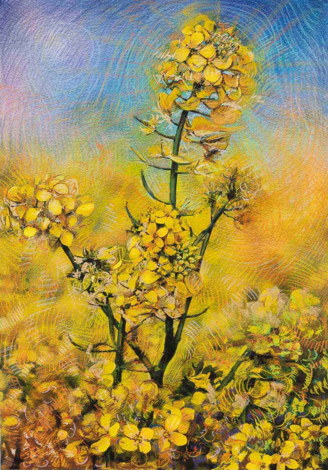 Shwan Dler Qaradaki, Duftende bedrag #9, 2024