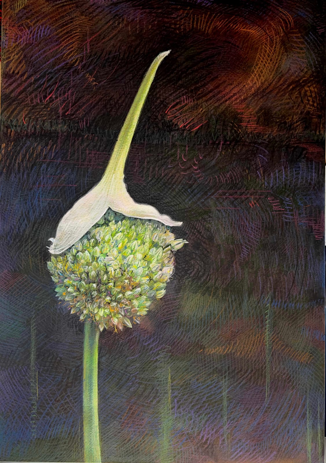 Shwan Dler Qaradaki, Duftende bedrag #11, 2024