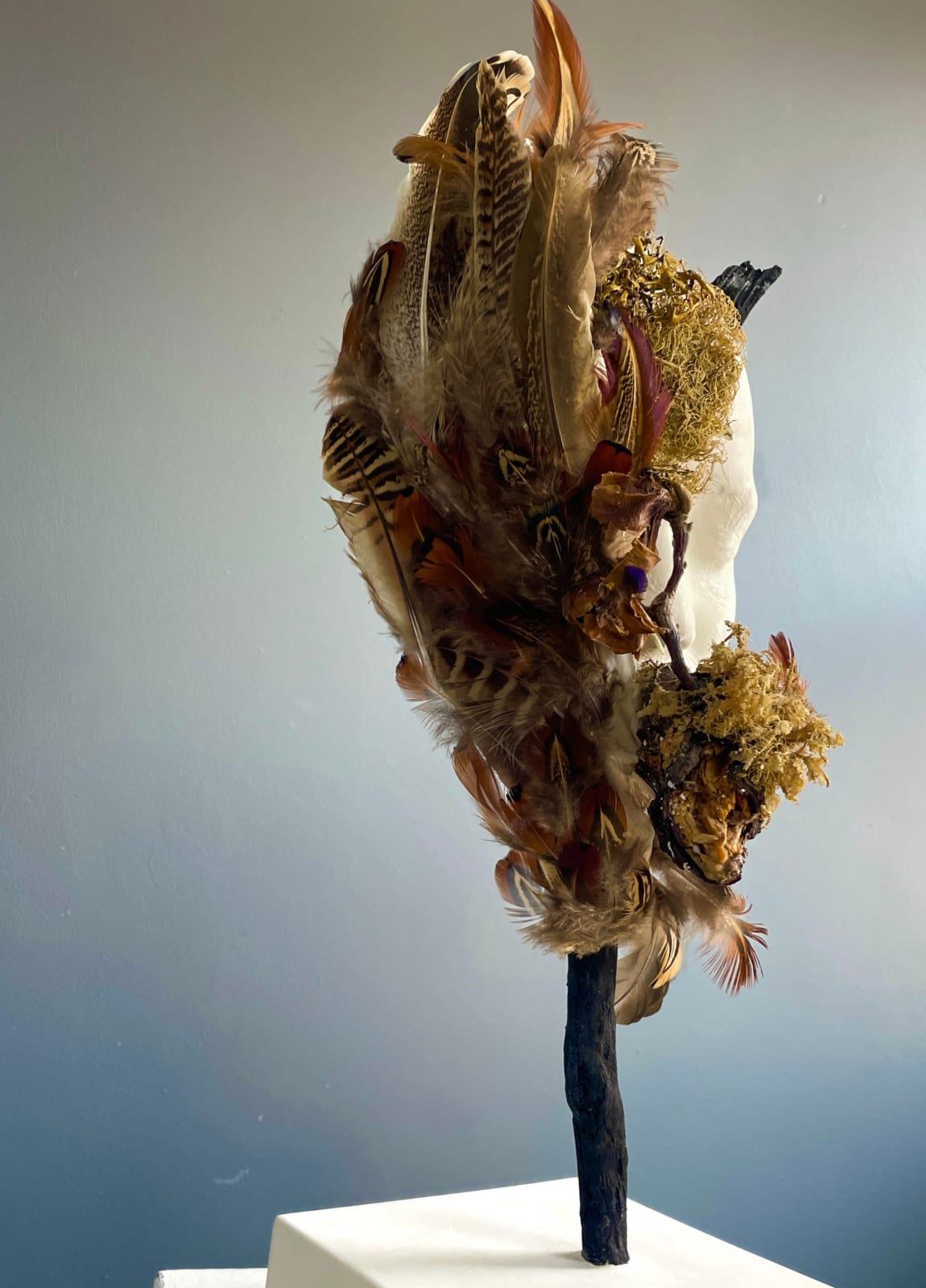 Jasmine Pradissitto, Dryad, 2022